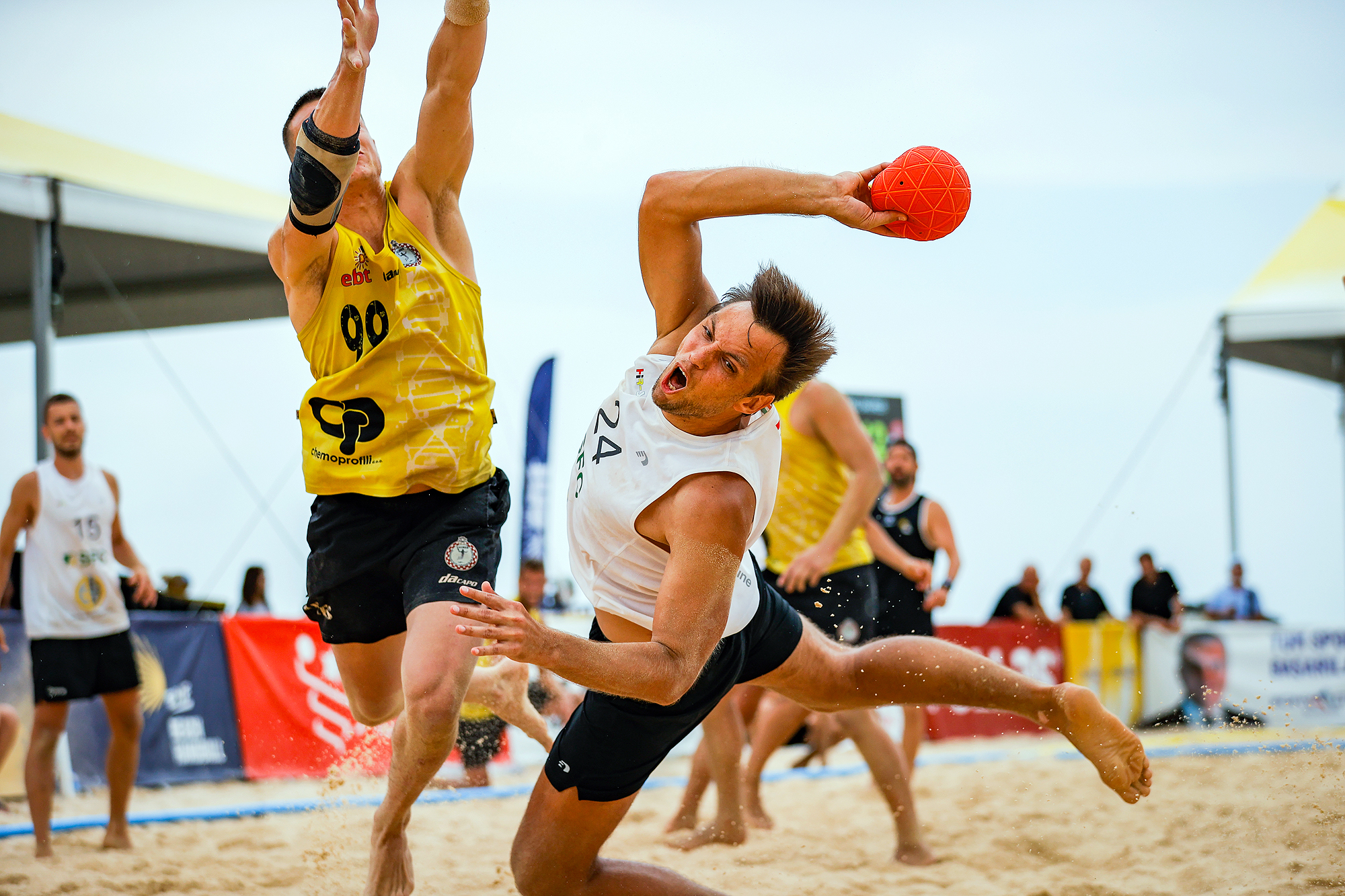 New website provides all info on ebt