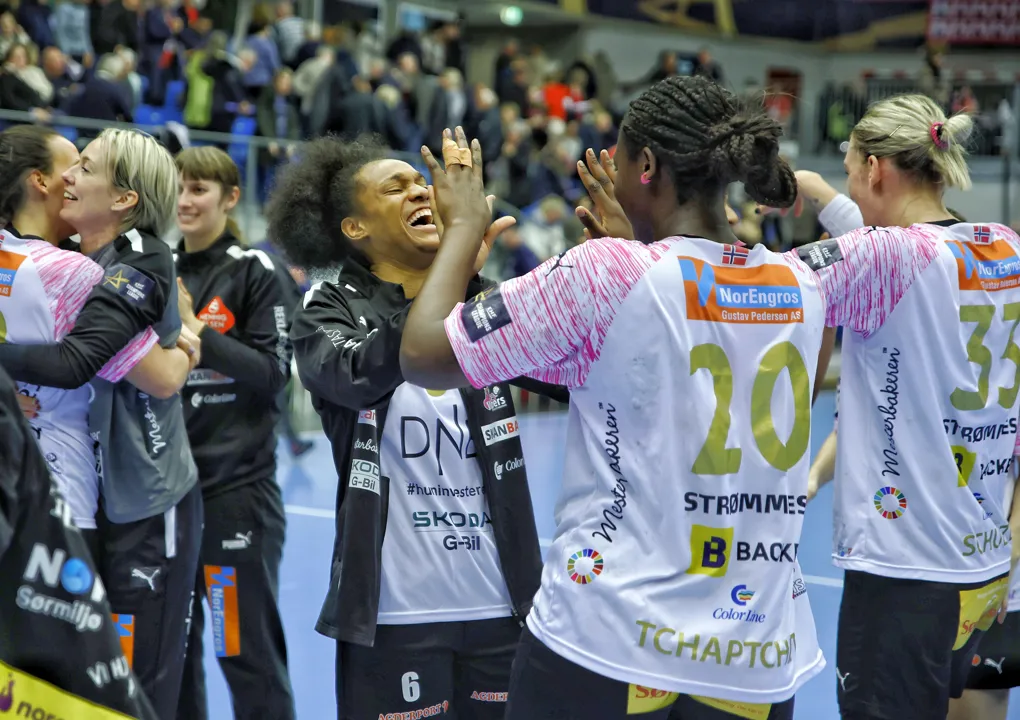 Titleholders Vipers end Esbjerg's winning run