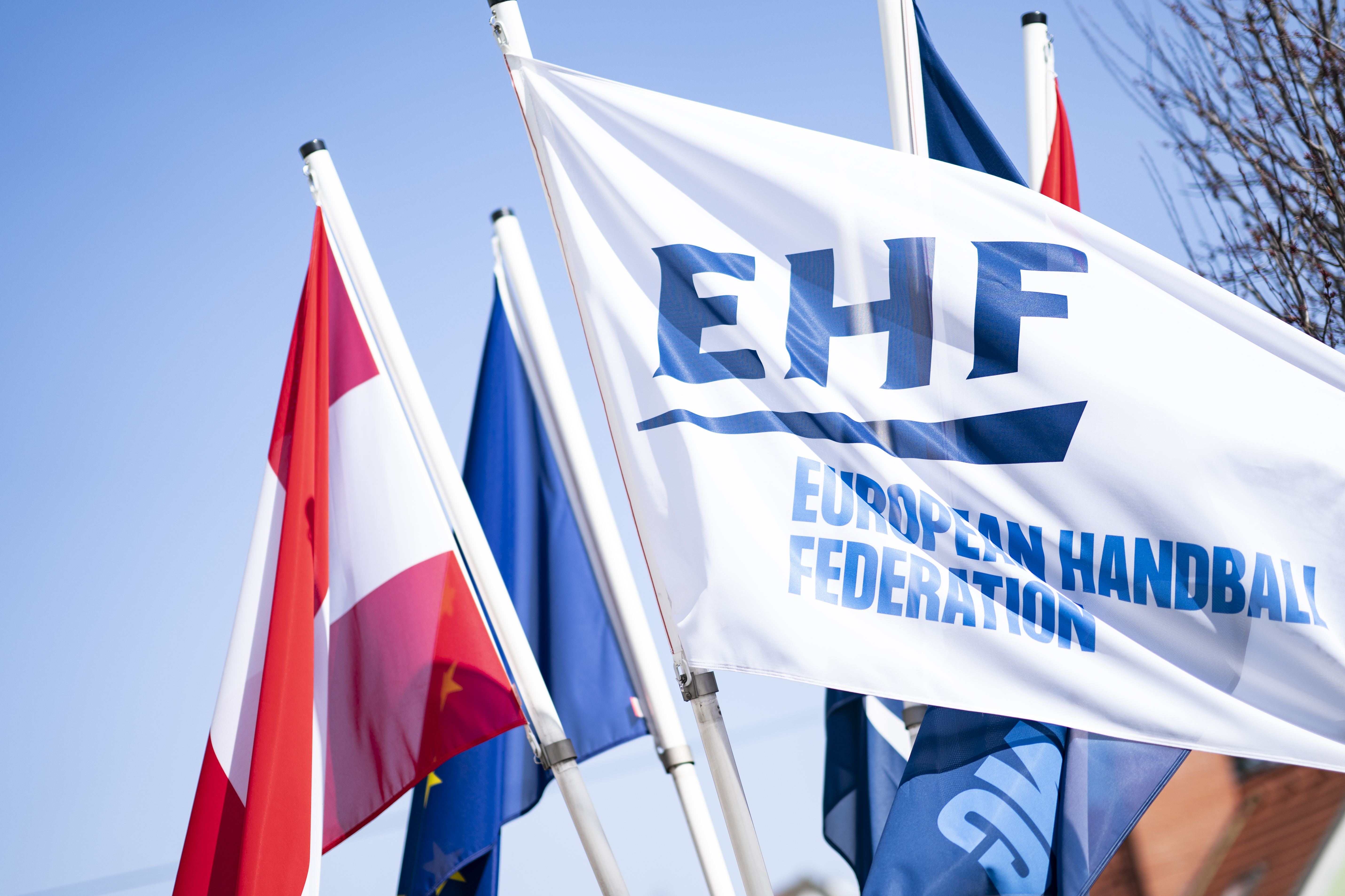 Court of Handball fines MRK Sesvete